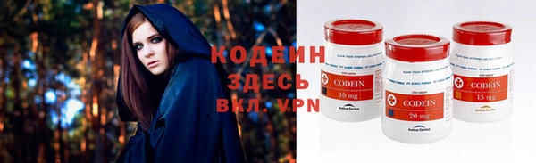 стаф Елизово