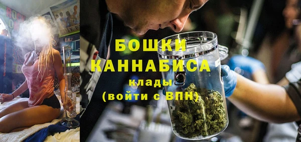 сатива Заволжье