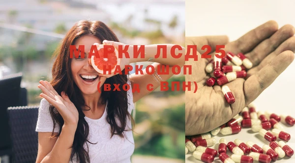 стаф Елизово
